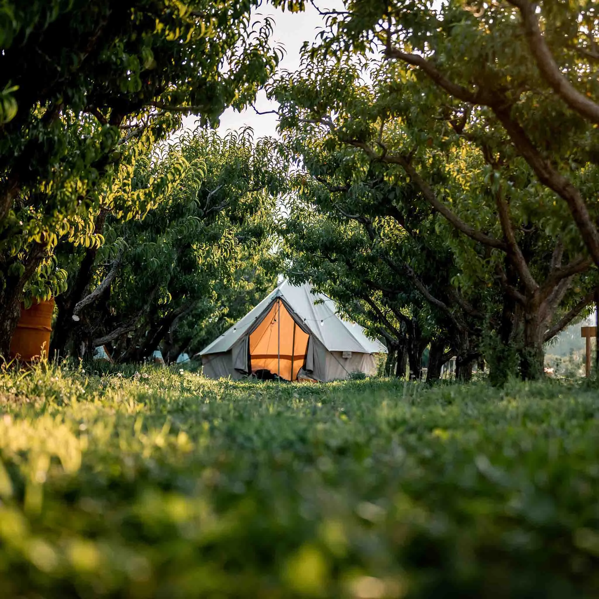 Regatta Bell Tent